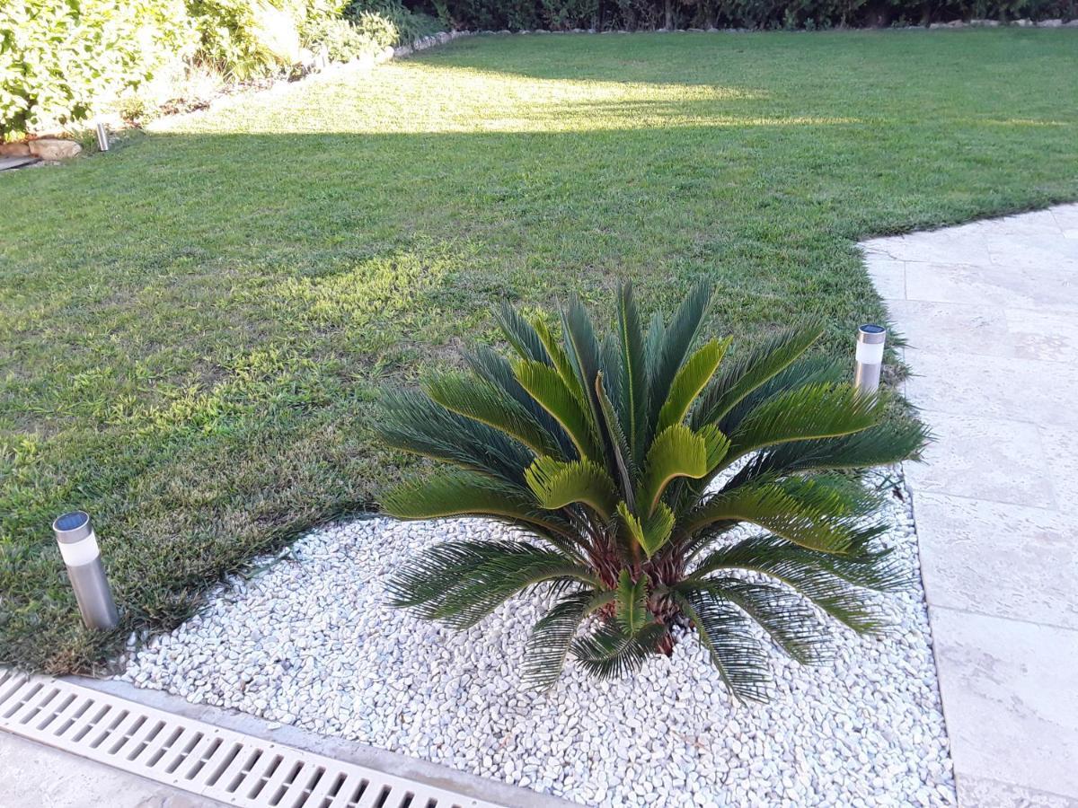 Yofanto Apartman Sénas Kültér fotó